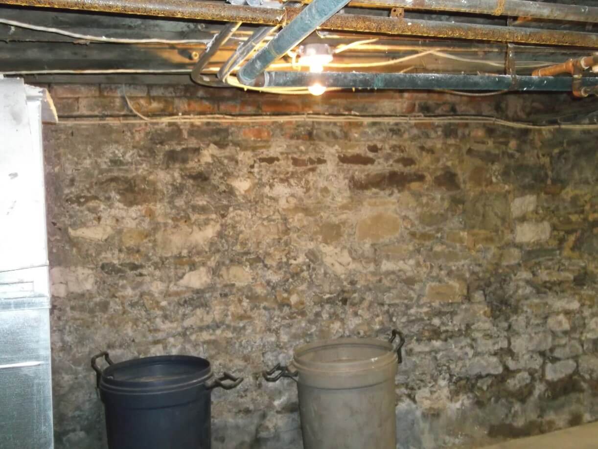 concrete basement mold removal
