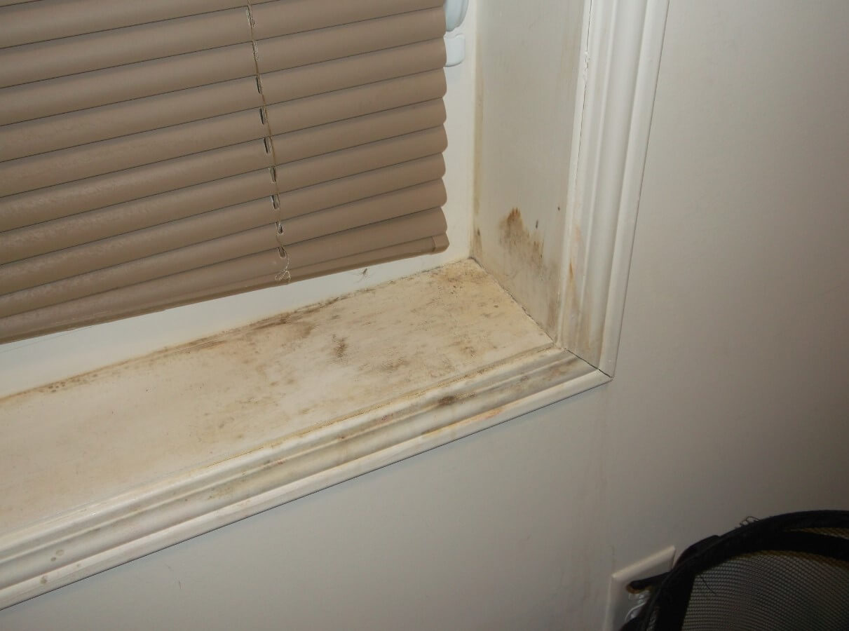 window mold removal